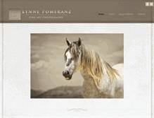 Tablet Screenshot of lynnepomeranz.com